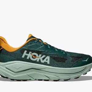 HOKA Challenger 8 Bay Leaf Sage